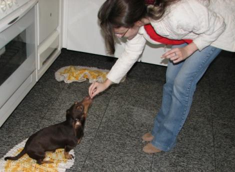 Choco sentando