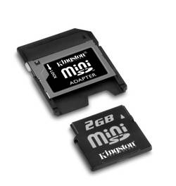 kingston-mini-sd-2gb.jpg