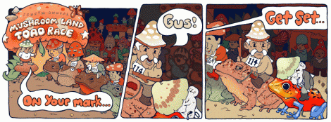 Corrida de Anfíbios